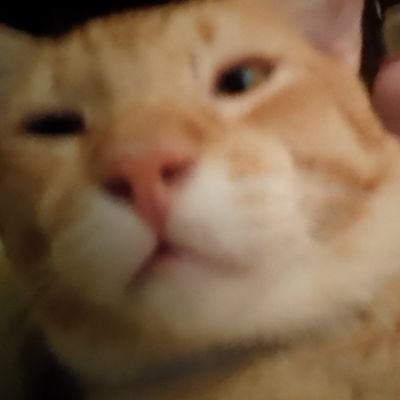 cestlabril's profile picture. fall apart twice a day | @twelfthofmei