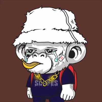 0xwooden's profile picture. 