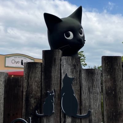 goroneko_obaka's profile picture. "やりたい事?をやる"