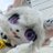 JoeyThePixelGuy's profile image