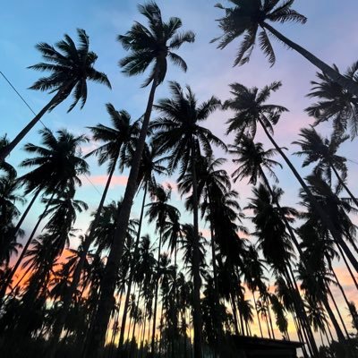 loeyxmee's profile picture. 🌷🩷