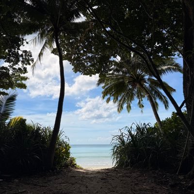 shok14's profile picture. capturing moments,culture and tradition📸