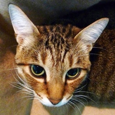 3FoyOy1e5Q22143's profile picture. 