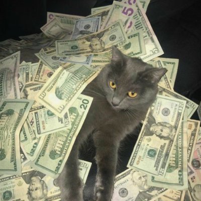 izyysol's profile picture. Trencher, Web3 Developer