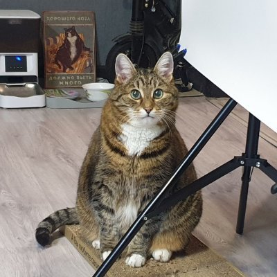 japyjazz's profile picture. Katarina | 28 | art&shitpost acc | RU/ENG | Hotline Miami | problematic enjoyer

Ma beloved man @nbarest
Ma beautiful wife @mjarmerchant