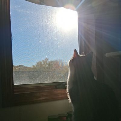 xJaytts's profile picture. Space nerd 🌕 Lead & Spinner @TheLostRealm