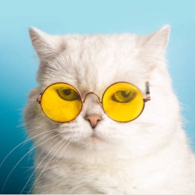 24wavexd's profile picture. top shabbos goy #BanHRTNow