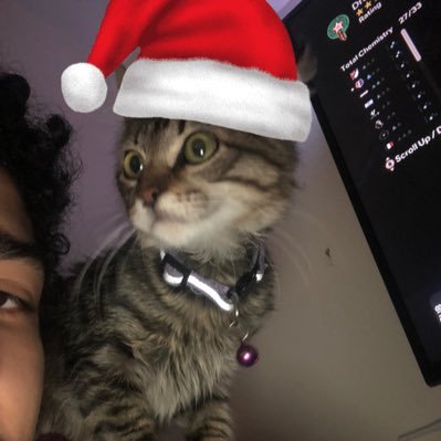 kanbghihaa's profile picture. 