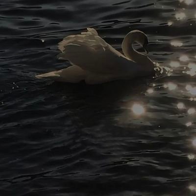 ayesha_nadym's profile picture. Blurry mind ,messy thoughts 🖤