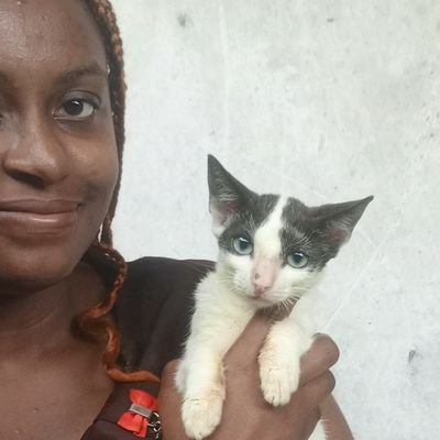 awkward36747's profile picture. Book Formatting, Typesetting, Layout designer | Book proposal guidance|