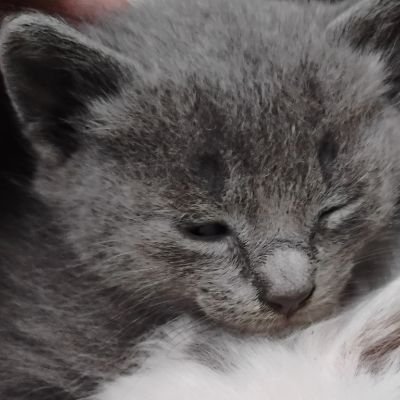 vxmpchuu's profile picture. 𝜗𓈒   𓊆ྀི #地雷男子  𖹭 𓈒   #v系 𓊇ྀི💉 　lovesick vampire boy..    08 𓈒ㅤ   ♱ #真島吾朗  𝗦𝗦  riako ꜝ  ໒꒰ྀིっ˕ -｡꒱ྀི১ , ,