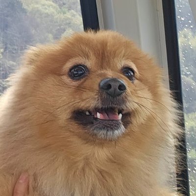 JordanRejaud's profile picture. $1.4m+ in revenue
(Pretentious) Nomad, (Incompetent) Software Engineer

(Former) Silicon Valley Software Engineer