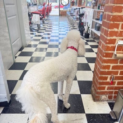 stan_Nzuo's profile picture. Libra| Social|Therapist| Mental Health #Arsenal FC #BlueCrew, Resister