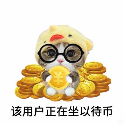 Qi1vgY's profile picture. 