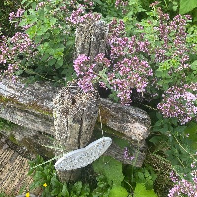 CCtranslate's profile picture. Human translation for Contextual understanding, Cultural nuance, Accuracy and precision, Creativity and adaptability.