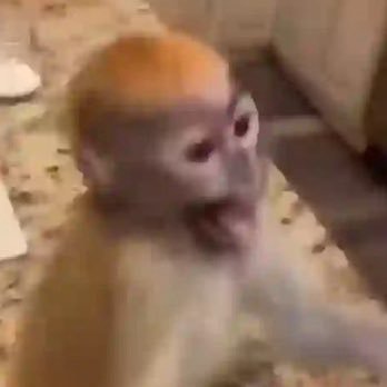 eusoually's profile picture. oq eu fiz agora?