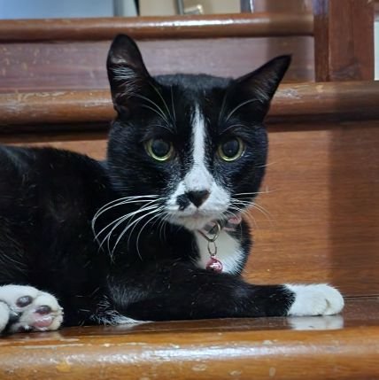 p74500's profile picture. fan accout