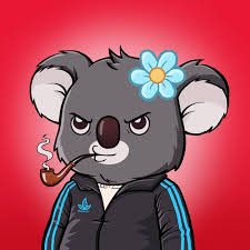 0xCoala's profile picture. Web3 🤍 AI 🤍  DeFi
Engineer & coder
Crypto degen since 2019 🤝