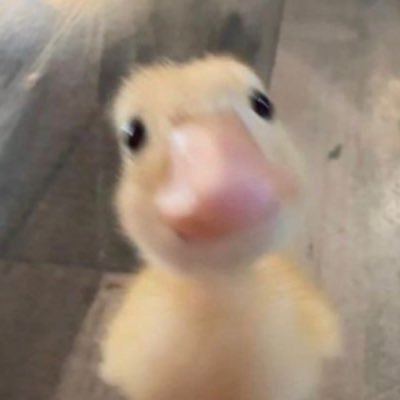 1_Owe_'s profile picture. 공명하는 책 찾기!