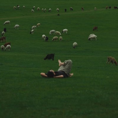 TellRaghav's profile picture. 