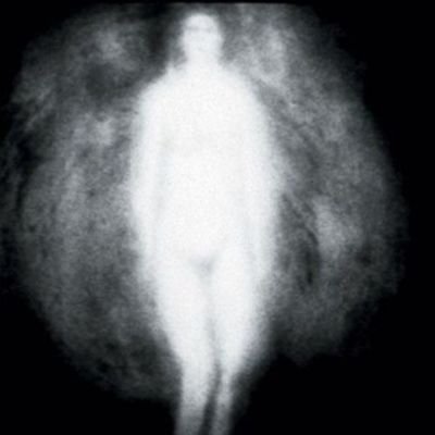 rhizomancer's profile picture. sound art * post-structuralist 🏳‍⚧️ silent angel                                                                                prophetofdisco@gmail.com