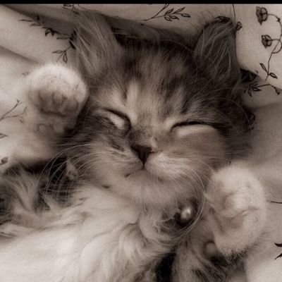 Rizzlord789's profile picture. what will be , will be