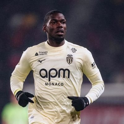 mrgnmsc's profile picture. Developer.js