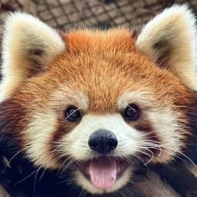 piinuuunnie's profile picture. เป็นหม่ามิ๊ของน้องเนยแงวจ้วน @lookmaewmiaow 🐈