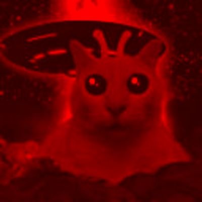 Mabelzinhe's profile picture. ⌑ 𝓢 𝘢𝘣𝘦𝘳 𝓓𝘦 𝓣𝘶𝘥𝘰 𝘦́ 𝓟 𝘦𝘳𝘥𝘦𝘳 𝓣𝘶𝘥𝘰 . ⧖