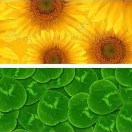 Idareyou2sing's profile picture. JeffBarcode 🪐🥥 #JeffSatur #barcodetin #TINNASIT #unit 🎬 HAPPY ENDING 🎤 CLO_VER 🍀