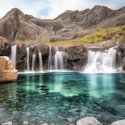 AlanBro72073576's profile picture. Glasgow Rangers, Border Collies, The Eagles, Caffeine & Tennants Lager 🇬🇧 👍