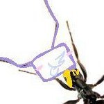 Devilishbox's profile picture. artist or whatever | any prns | I'm silly I'm silly I'm silly I'm silly  I'm silly I'm silly I'm silly I'm silly I'm silly—