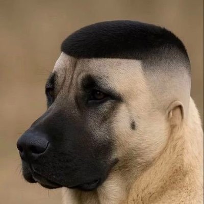 sonsuzcinsiyett's profile picture. 🏳️‍🌈🏳️‍⚧️