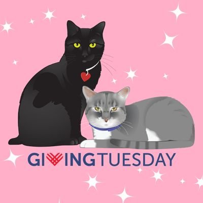 CrashsLanding's profile picture. Crash's Landing & Big Sid's Sanctuary rescue at-risk stray cats & provide them with safe shelter, vet care, & love until they are adopted into permanent homes.