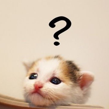 1000daysC's profile picture. 水泳/バスケ/反積極財政/不正解は無意味を意味しない