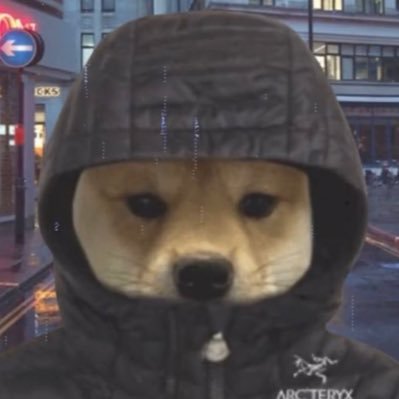 tarantitties's profile picture. en verda solo quiero un poco de orden