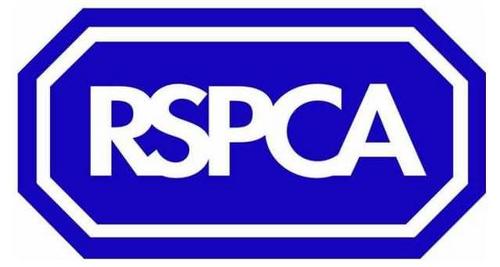 We are the RSPCA Branch who deal with all animal welfare issues within the North East of Essex. For emergencies please call 0300 1234 999