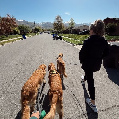 Emily_Carter092's profile picture. Believer in the strength of unity, the power of diversity, and the pursuit of justice for all. Proud to call this land home. 🇺🇸