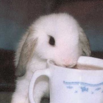 LHyqTthb1g98716's profile picture. 