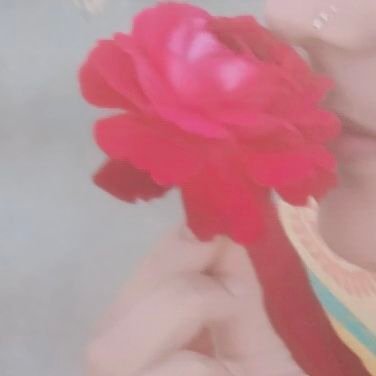 Be61272Beniwal's profile picture. किसान पुत्री (jaat), भाईचारा ,महिला बेरोजगारों की आवाज के लिए हर संभव प्रयास ।🚩 जय गोगाजी जाहर वीर हरे .…🚩No dm 🚫❌🚫📘📓📕 स्वतंत्र विचार 🎊