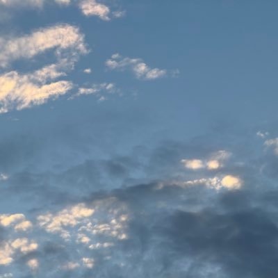 ihateu183's profile picture. 