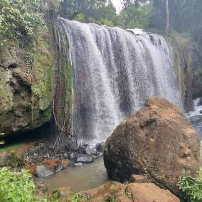 ikigu5's profile picture. Influencer