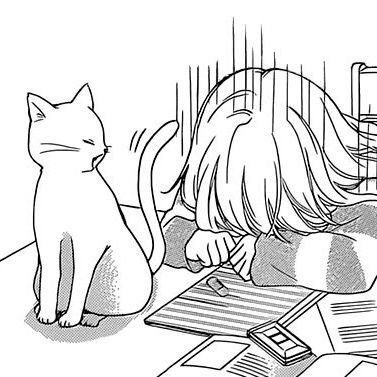 shiyododo's profile picture. @shiyomicover's silly yapping account