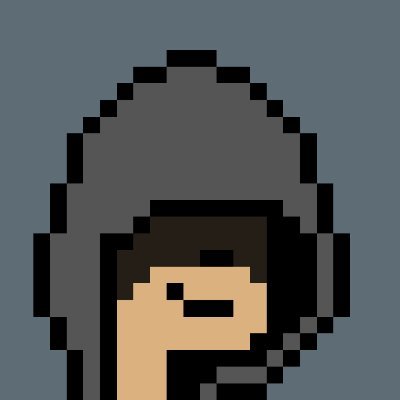 wisstbescheid's profile picture. side character of the simulation