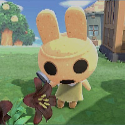 xev_1s's profile picture. #志村秀哉と小笠原海はおれと結婚しろ