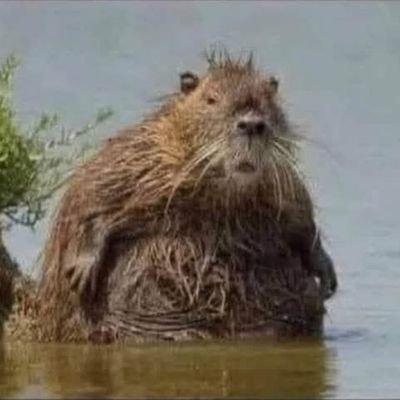 KurtBaxter98284's profile picture. Retired LEO.