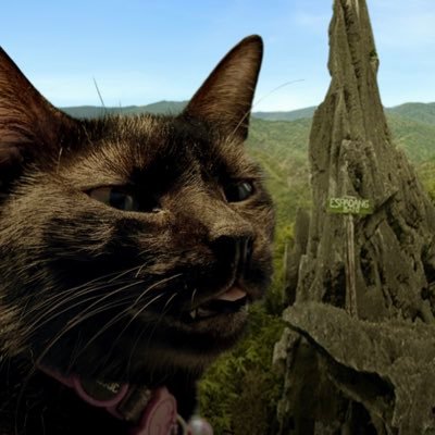 thiiirrdd's profile picture. 