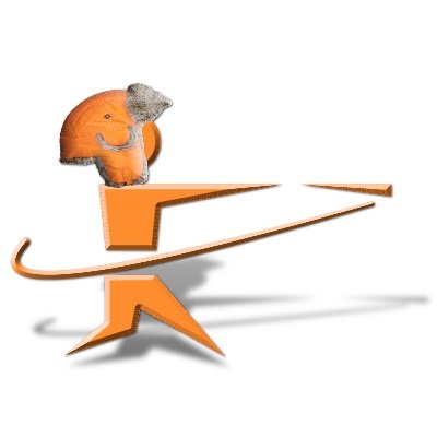 Momentum Baseball Profile