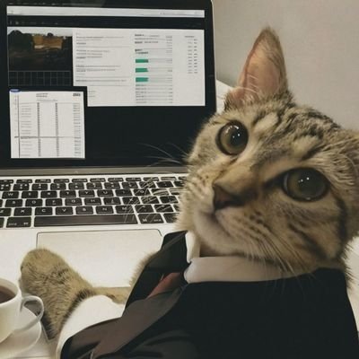 musewtf's profile picture. Legal eagle in training || Law Student