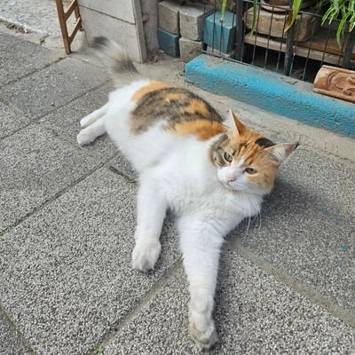 fatihseref's profile picture. "Anna, I feel like I'll be seeing you at every street corner."